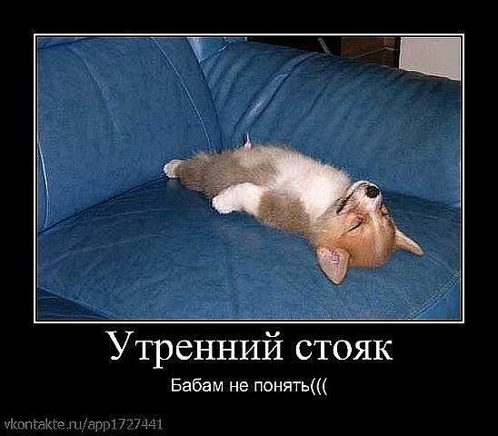 http://cs9980.vkontakte.ru/u46710774/131694709/x_2ebae445.jpg